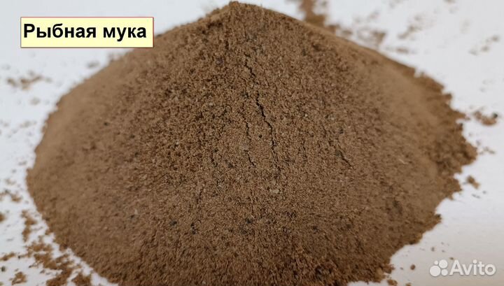 Корма для животных оптом