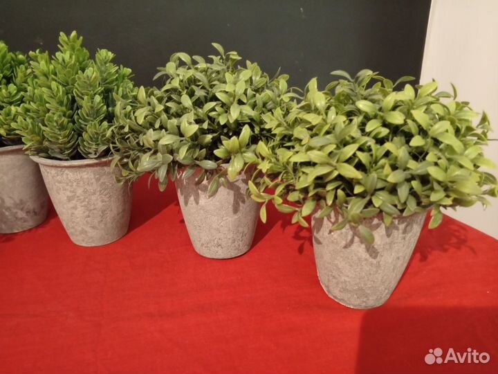 Искусственные растения в горшках