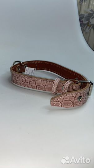 Ошейник для собак