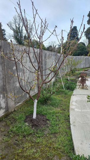 Дом 221,4 м² на участке 8,6 сот.