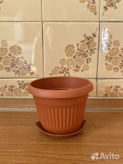 Цена за 5 кашпо для цветов