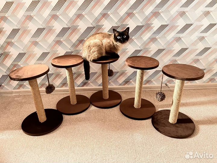 Когтеточка для кошек