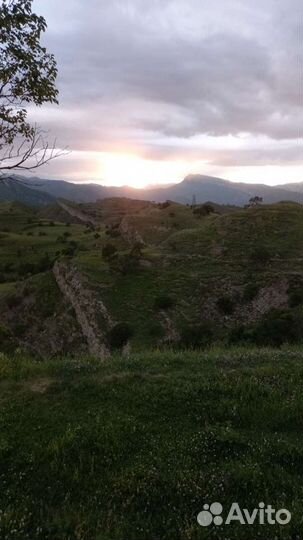 Экскурсии по Дагестану