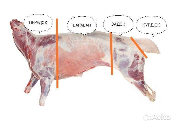 Мясо Баранина