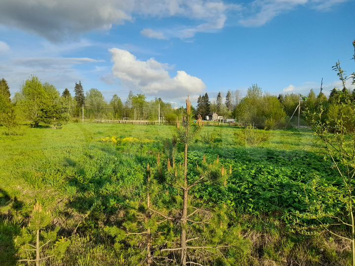 Участок 8,4 сот. (СНТ, ДНП)