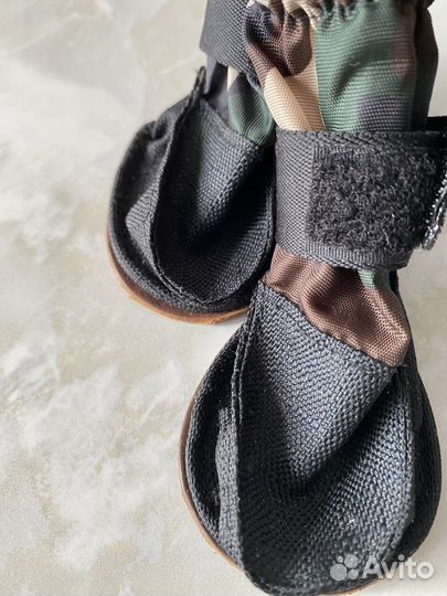 Обувь и ошейники для мелких собак, новые