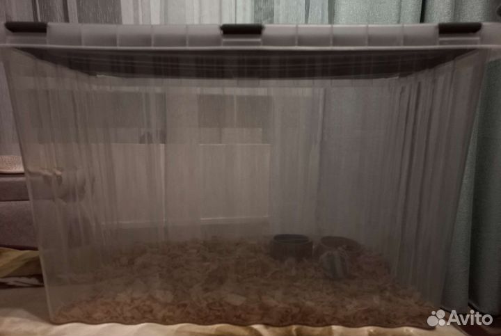 Переноска, террариум, контейнер для животных