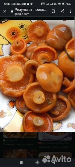 Грибы рыжики