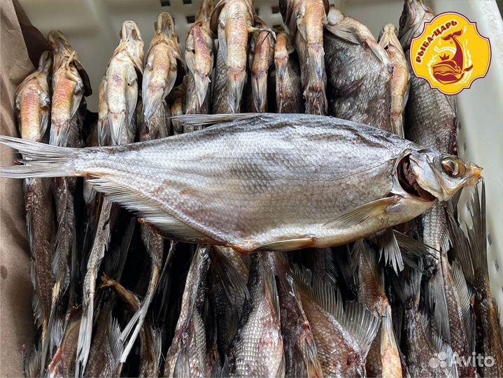 Лещ вяленый крупный / средний