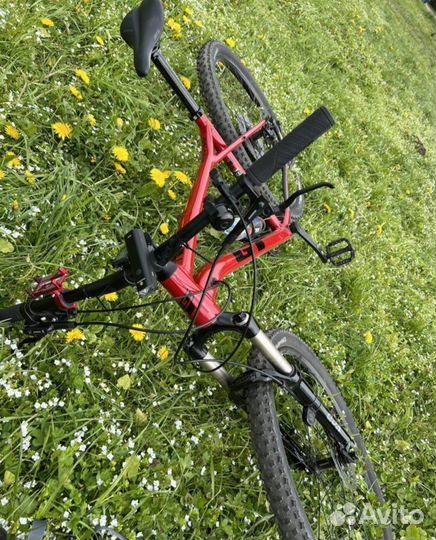 Gt avalanche elite 2021