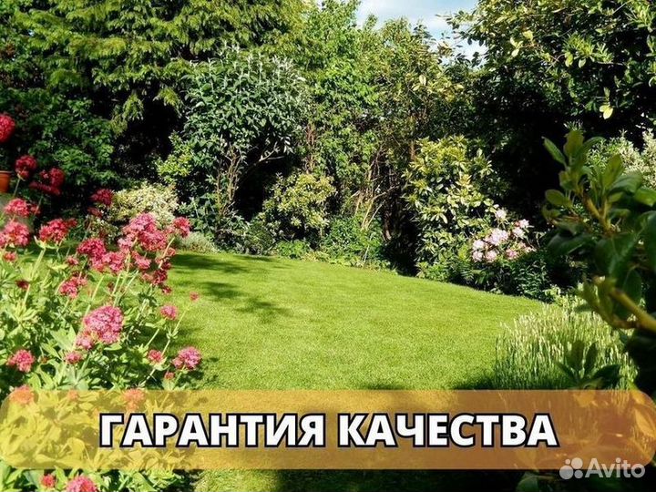 Рулонный газон, укладка, продажа