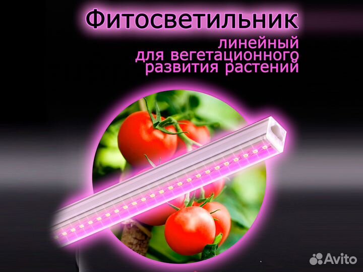 Фитолампа для растений