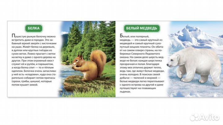 Обучающие книжки набор 6 шт новые