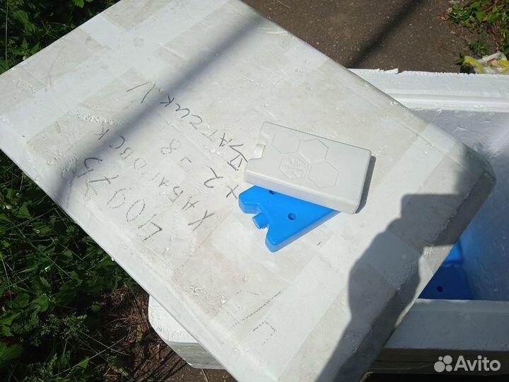 Термоконтейнер из пенопласта