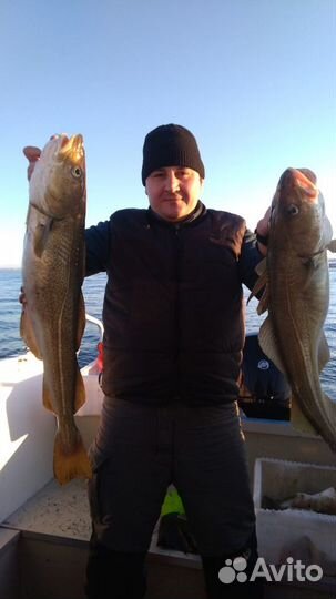 Морская рыбалка, киты,экскурсии