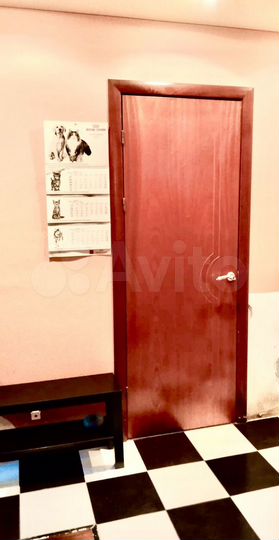 1-к. квартира, 53 м², 16/17 эт.