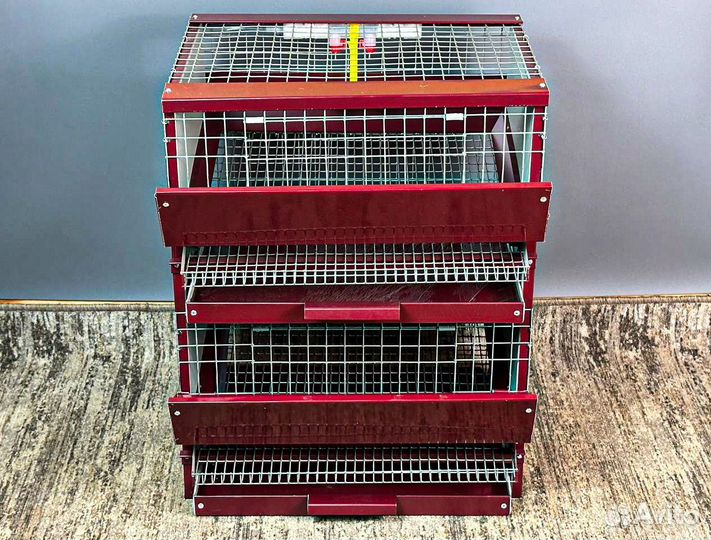 Брудер клетка для перепелов