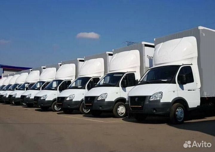 Водитель-экспедитор, категории В