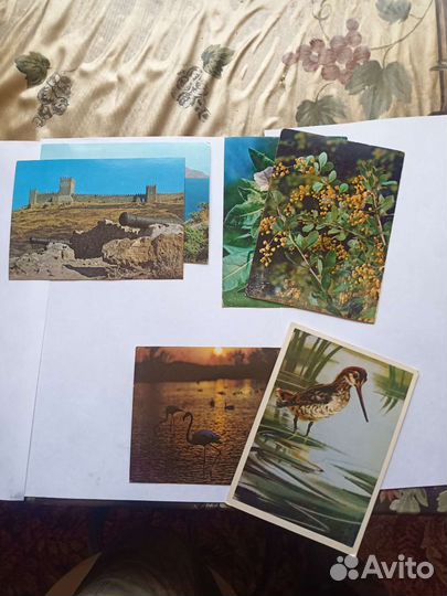 Открытки СССР