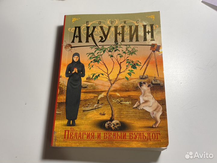 Книги борис акунин
