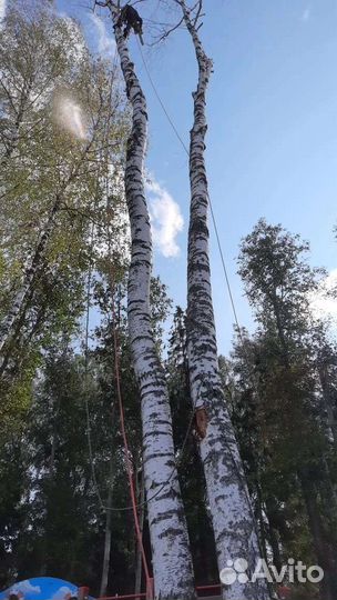 Высотные работы. Покраска, герметизация