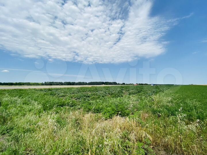 Участок 1,16 га (СНТ, ДНП)