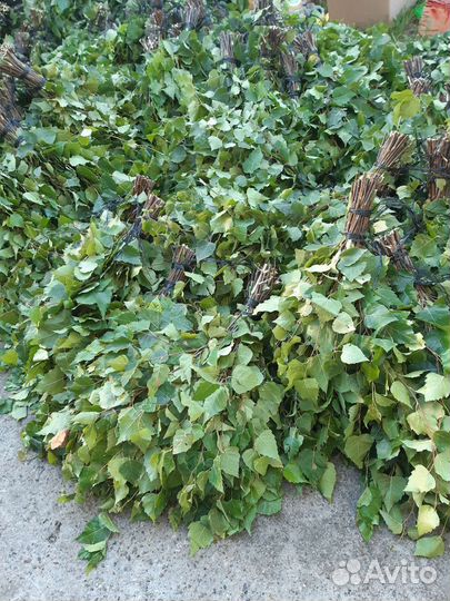 Березовые веники