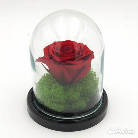Вечная роза в колбе