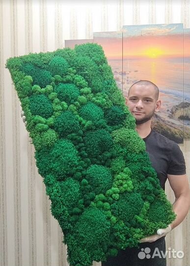 Яркие эко панели 25х50см из натурального мха