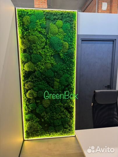 Стена из мха