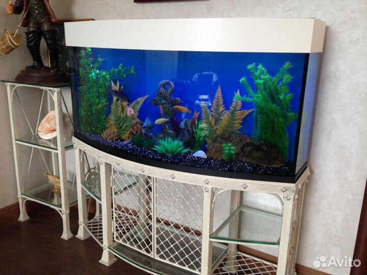 Обслуживание аквариума