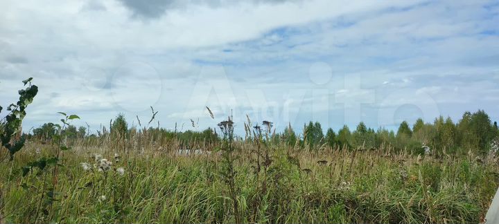 Участок 15,9 сот. (ИЖС)