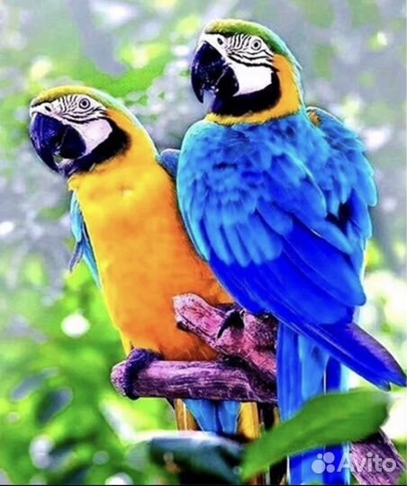 Адмазная мозаика 45х55 без подрамника. Новая