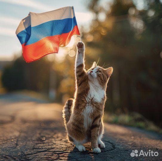 Отметьте День России на живописных берегах Байкала