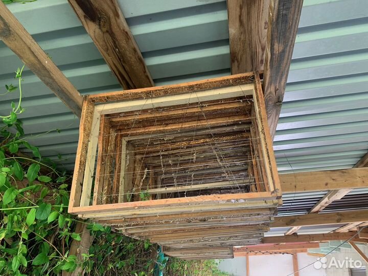 Пчелиные рамки