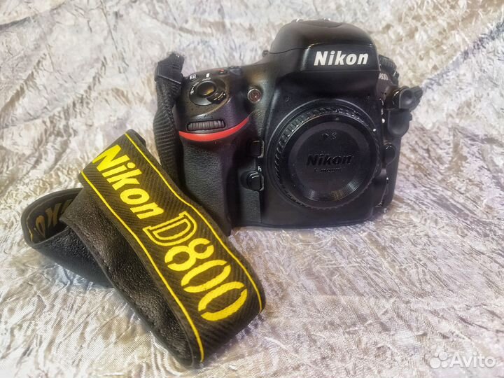 Nikon D800 body