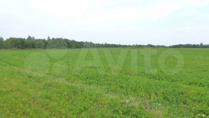 Участок 13 га (СНТ, ДНП)