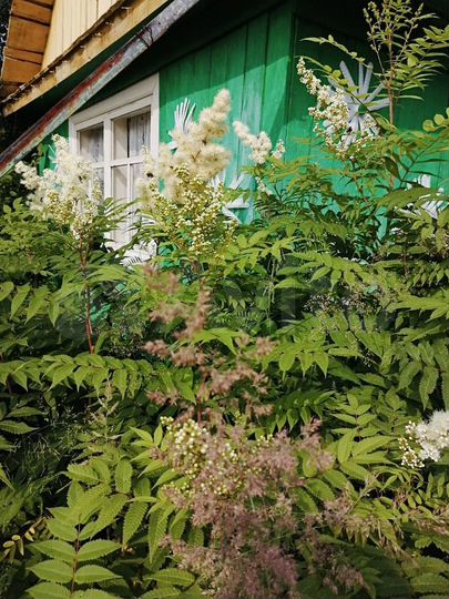 Дача 20 м² на участке 11 сот.