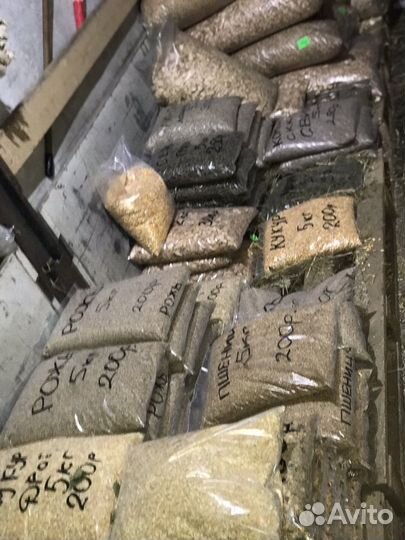 Зерно фуражное 5 кг