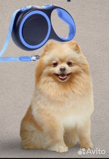 Поводок рулетка для животных для кошек и собак