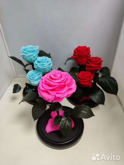 Цветы оптом