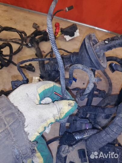 Проводка с блоком Kia RIO III