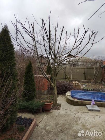 Вспашка мотоблоком, расчистка участков, покос тр