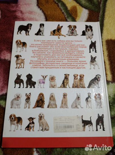 Большая иллюстрированная энциклопедия Собаки