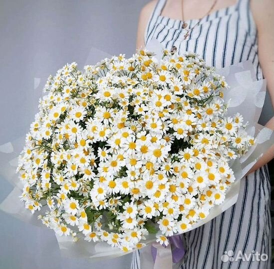 Цветы ромашки. Букеты ромашек. Цветы доставка