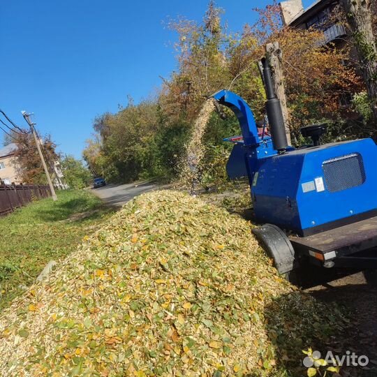 Расчистка участка от деревьев и кустарников