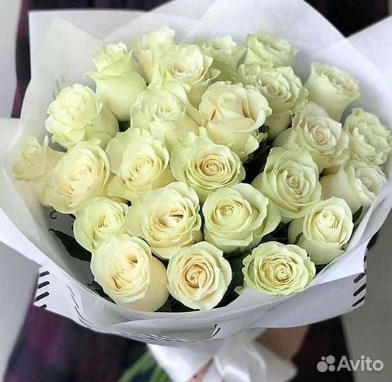 Розы Цветы Букеты 25 151 201 101 301 501 опт