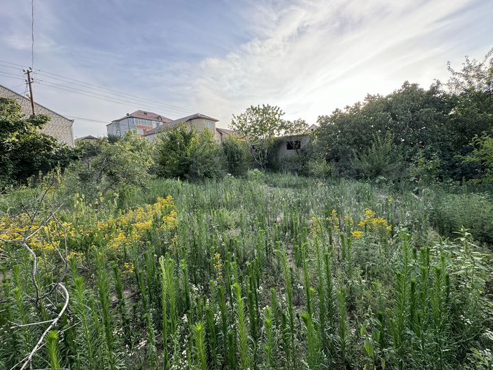 Участок 5 сот. (ИЖС)