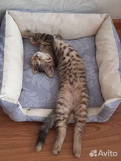 Лежанка для животных