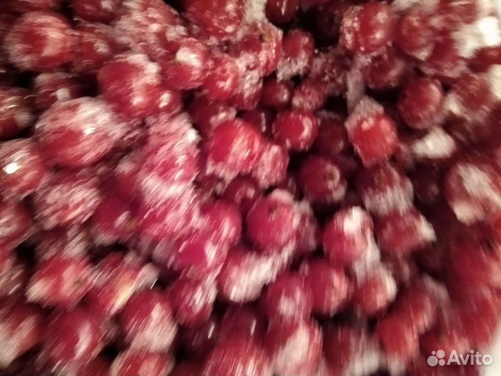 Красная смородина, заморозка